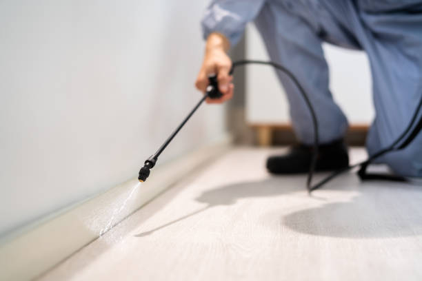Licensed Termite Control service in Violet, LA - Nex Pest Control
