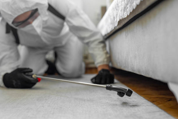 Professional Termite Control technician working in Violet, LA