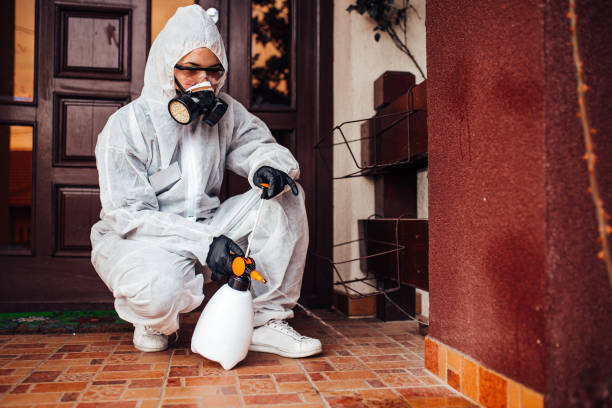 Reliable Termite Control contractor in Violet, LA by Nex Pest Control